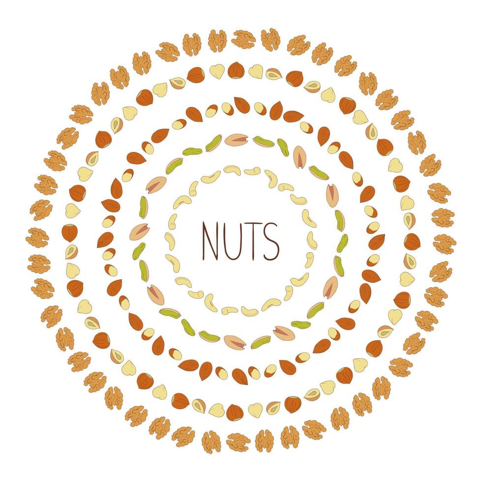 Vector frames with cashew, pistachio, peanut, hazelnut, walnut, chestnut, almond. Healthy vegan food element. Nut wreath in doodle or cartoon style