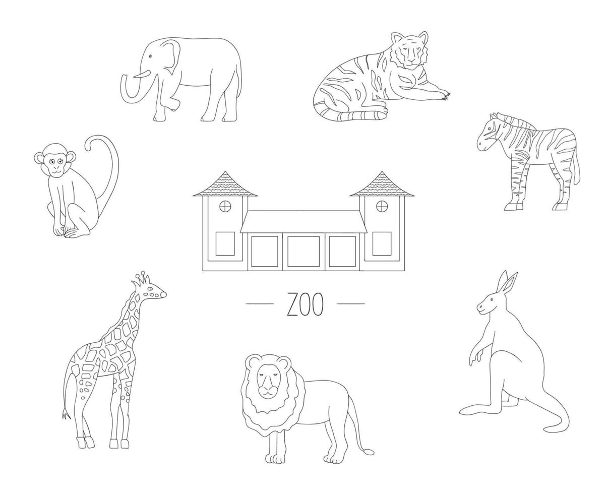 ilustración vectorial animales de zoológico aislados sobre fondo blanco. dibujo lineal de jirafa, tigre, elefante, león, cebra, mono, canguro. imagen de zoológico para niños. vector