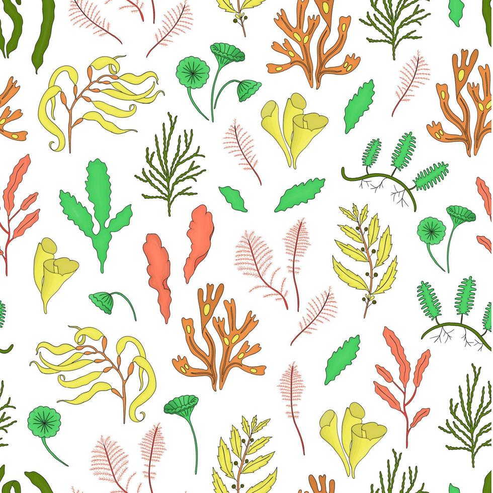 Vector colored seamless pattern of seaweeds. Colorful repeating background with laminaria, focus, macrocystis,sargassum, padina, dasya, porphyra, phyllophora, cladophora, ulva, acetabularia.