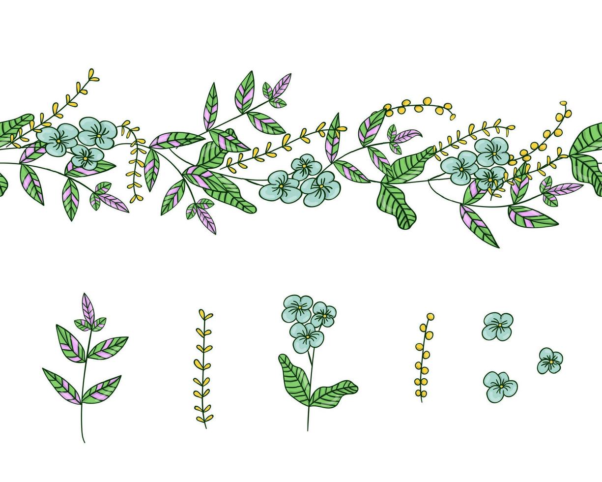 Vector set of garden plant design elements and pattern brush with stylized forget-me-not, basil, oregano. Hand drawn cartoon style illustration