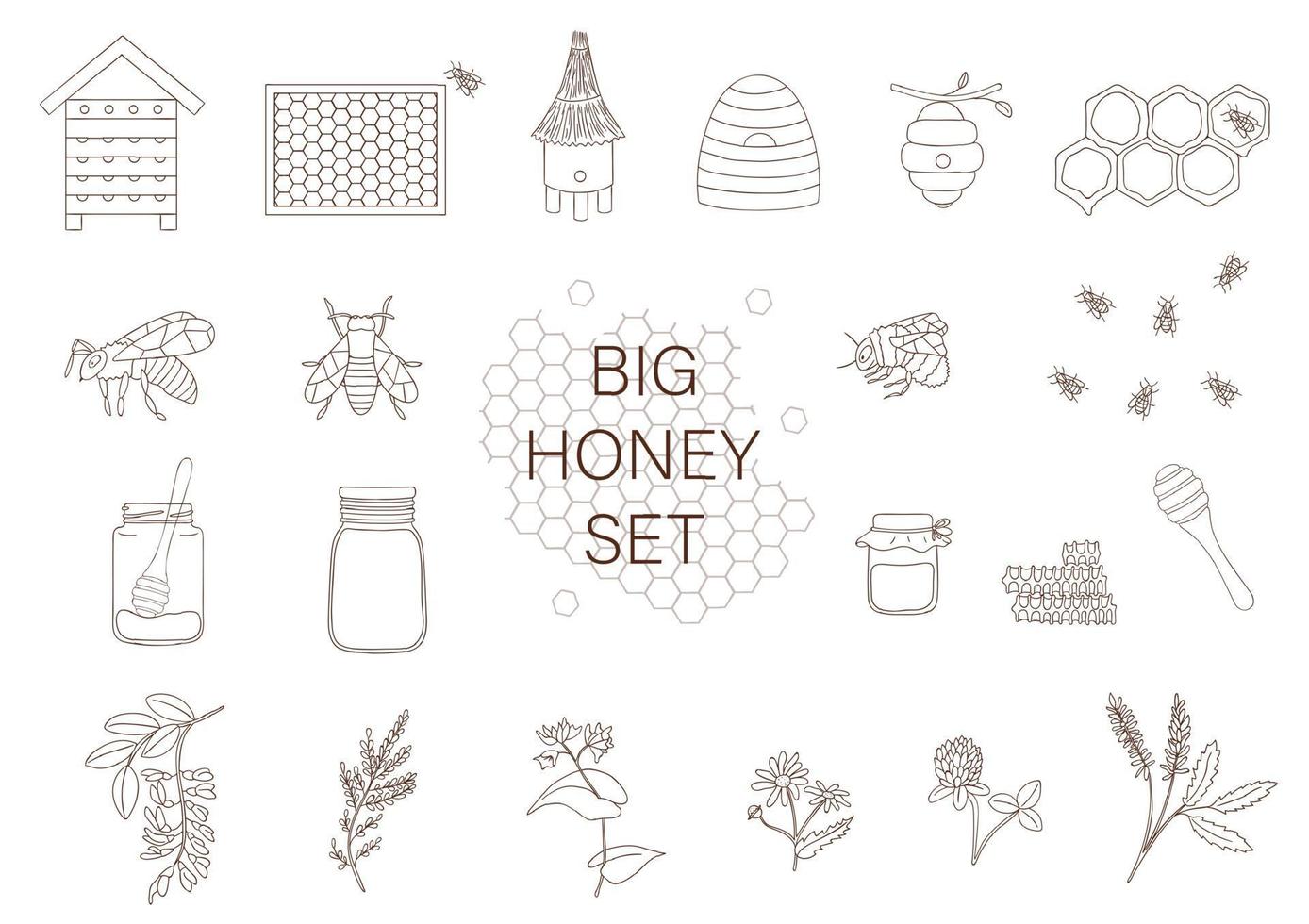 Vector black and white set of honey, bee, bumblebee, beehive, wasp, apiary, meadow flowers, honeycombs, propolis, jar, spoon. Monochrome honey collection isolated on white background.