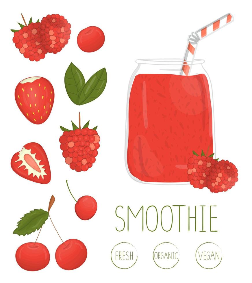 Vector illustration of red berry smoothie in a glass jar with bending straw and strawberry, raspberry, cherry. Fresh organic vegetarian food isolated on white background