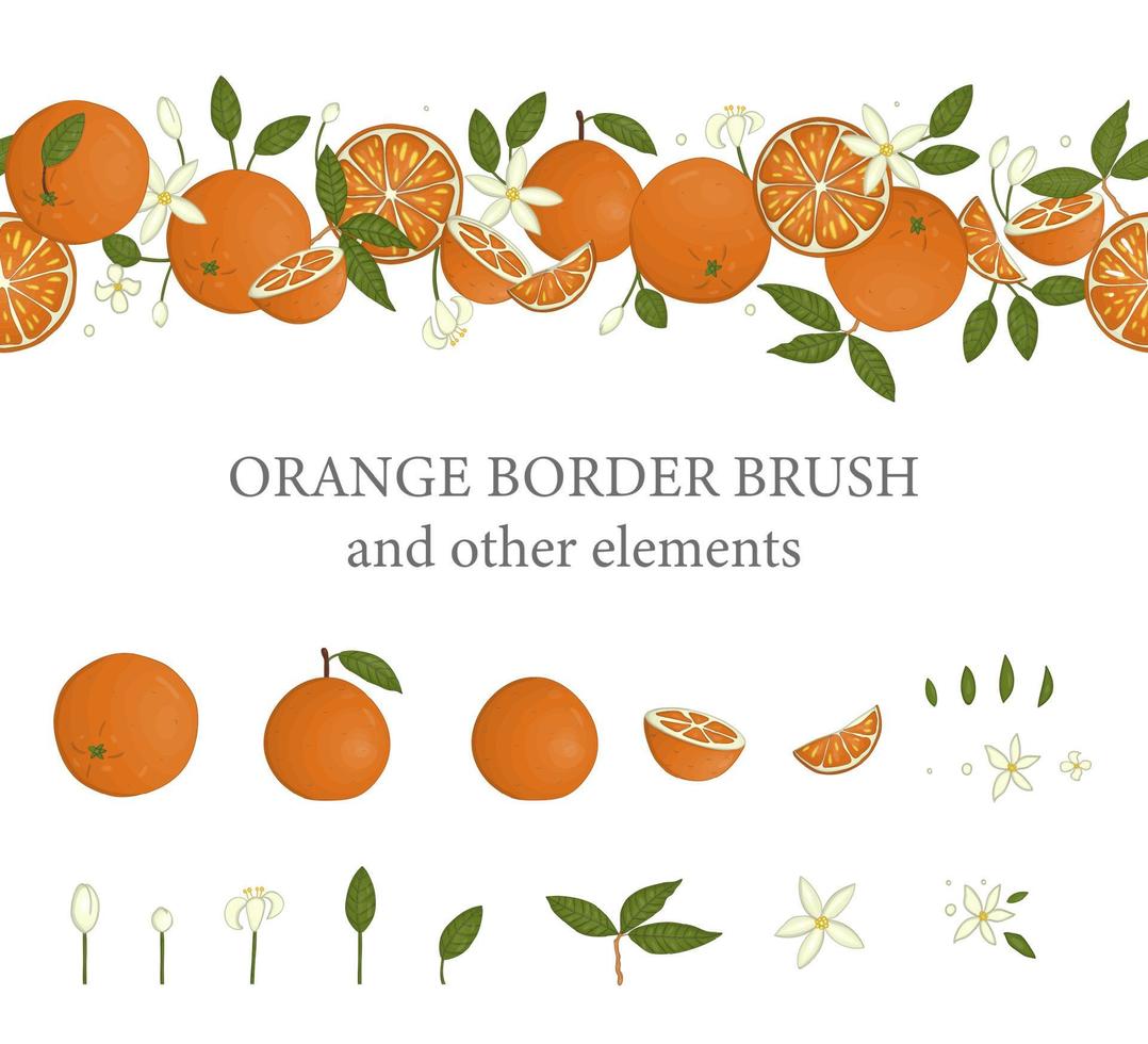 cepillo de borde de vector con naranjas y elementos de diseño naranja. Repita el patrón de borde con cítricos, hojas, flores, ramitas. Ilustración de alimentos frescos.
