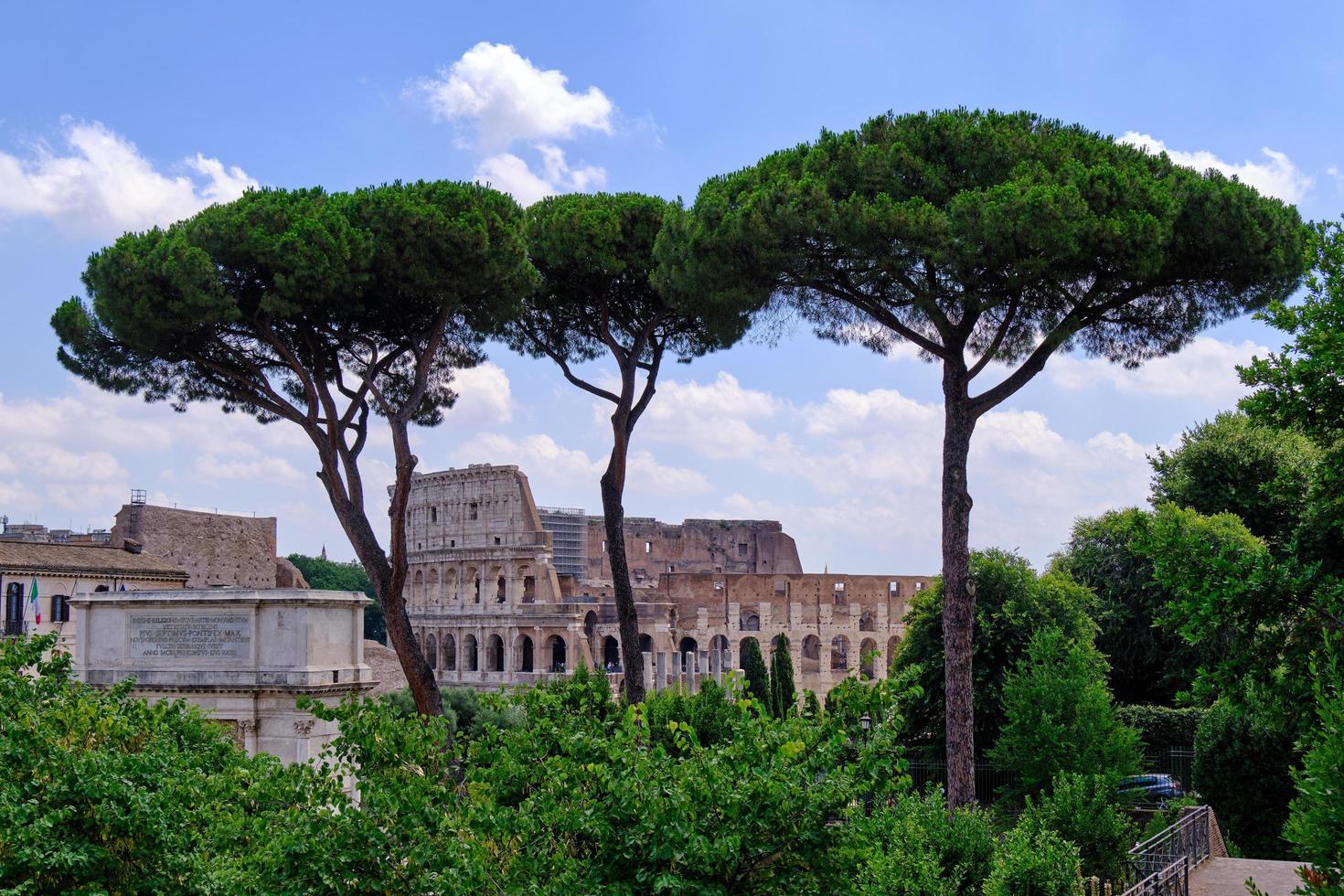 Vista del Coliseo a través de pinos, Roma, Italia foto