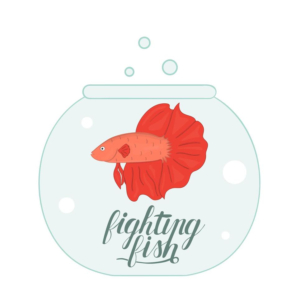 vector ilustración coloreada de peces en acuario con letras de nombre de peces. linda imagen de peces luchadores para tiendas de mascotas o ilustración infantil