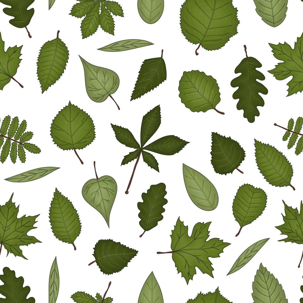 Vector seamless pattern of colored leaves. Autumn repeat background with isolated green birch, maple, oak, rowan, chestnut, hazel, linden, alder, aspen, elm, poplar, willow, walnut, ash leaves