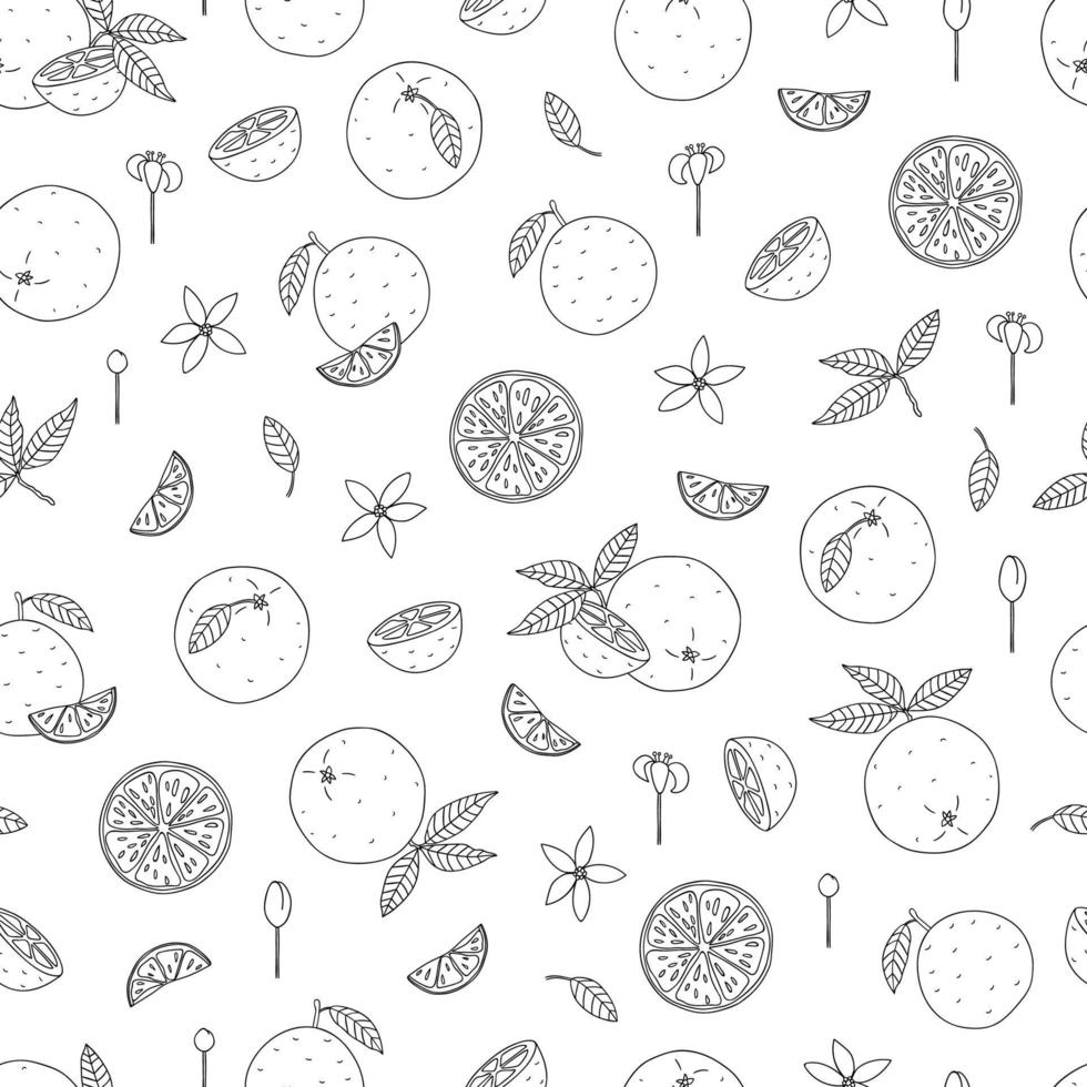 Vector black and white seamless pattern of oranges. Monochrome repeating background with citrus fruit, leaves, flowers, twigs. Fresh food illustration