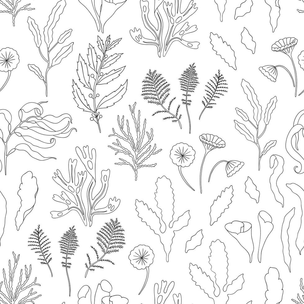 Vector black and white seamless pattern of seaweeds. Monochrome repeating background with laminaria, focus, macrocystis, sargassum, padina, dasya, porphyra, phyllophora, cladophora