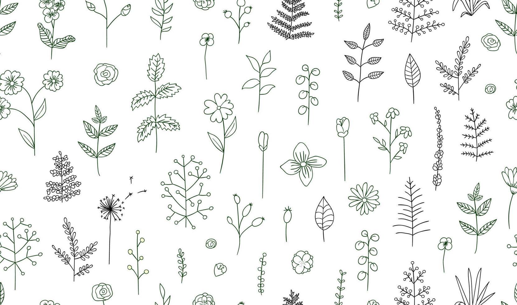 Vector seamless pattern of black and white flowers, herbs, plants. Monochrome  pack of elements for natural design. Cartoon style.