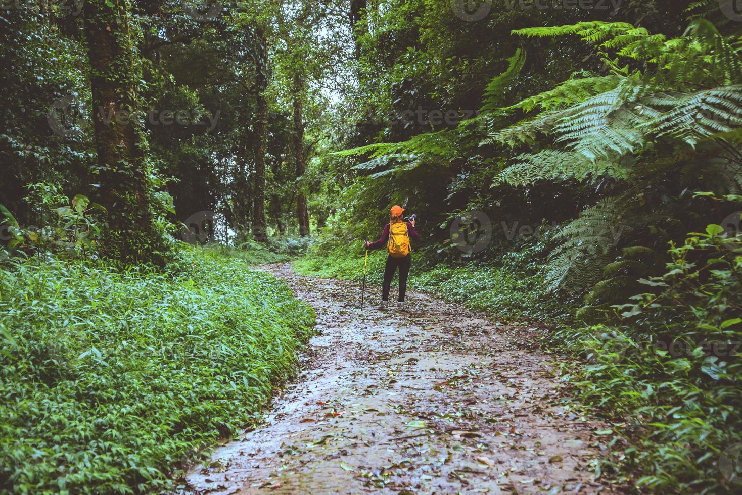 fotógrafo mujer asiática. fotografía de viaje de la naturaleza. viaje relajarse en el paseo de vacaciones en el bosque. foto