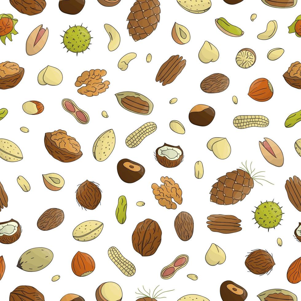 Vector seamless pattern of colored nuts. Repeat background with isolated bright hazel nut, walnut, pistachio, cashew, almond, coconut, pecan, pine nut, peanut, macadamia