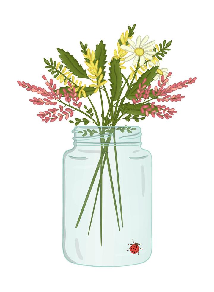 Vector illustration of glass jar with bouquet of wild flowers inside. Cute summer illustration. Heather, acacia, melilot, camomile, clover picture
