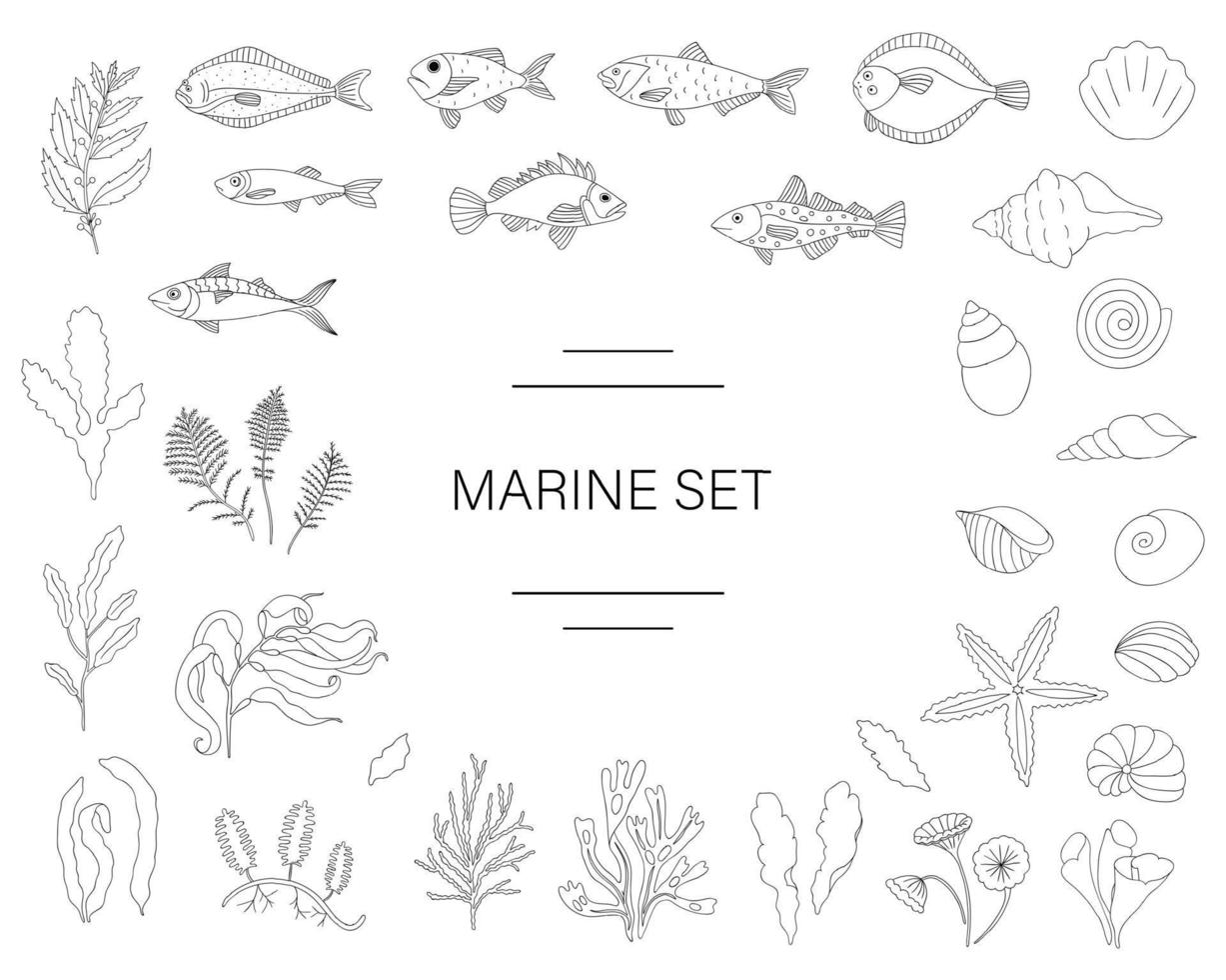 vector conjunto blanco y negro de peces, conchas marinas, algas marinas aisladas sobre fondo blanco. colorida colección marina. ilustración submarina
