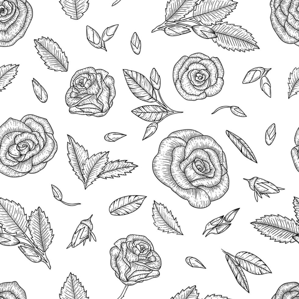 Black and white seamless pattern with roses. Engraving style floral background. Graphic line drawing backdrop. Hand drawn illustration vector