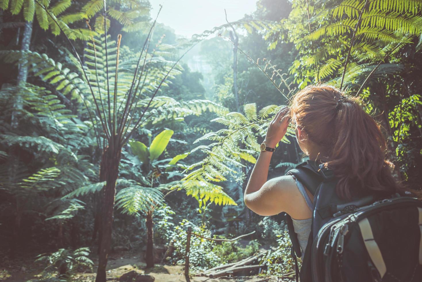 mujer asia viajeros viajan naturaleza bosques, montañas. chiangmai doiinthanon tailandia foto