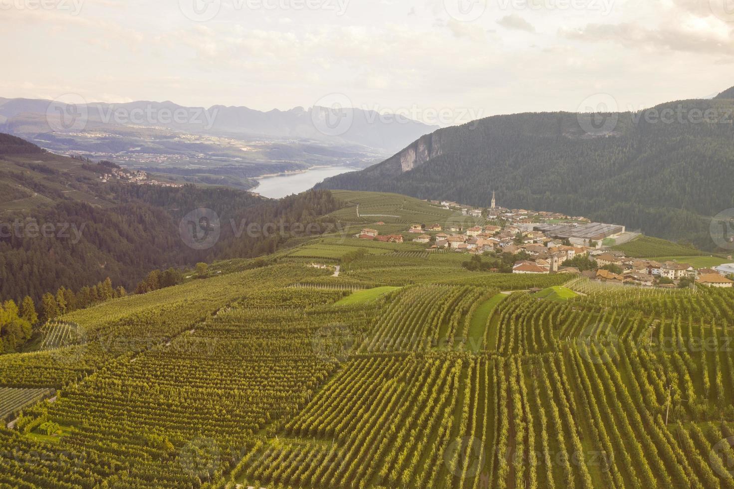 Vista superior de las plantaciones de manzanas de Trentino en Italia foto