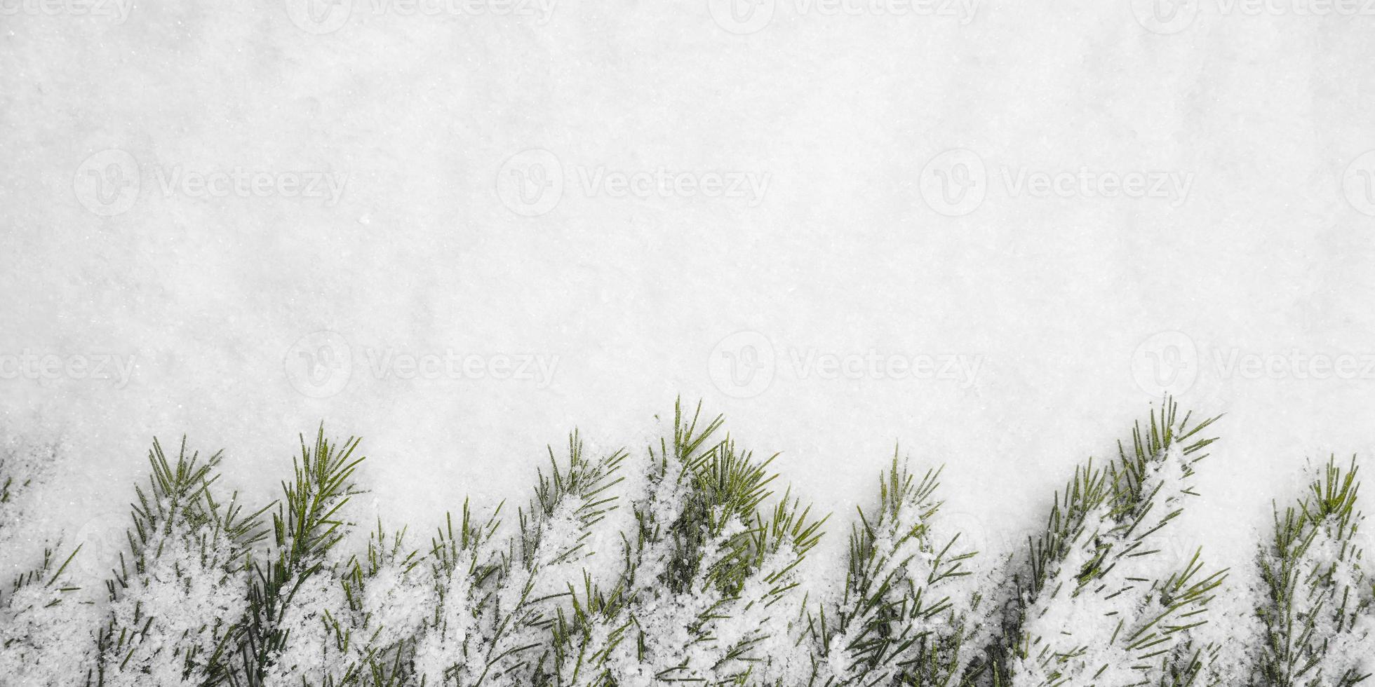 Winter background, Happy New Year, christmas background photo