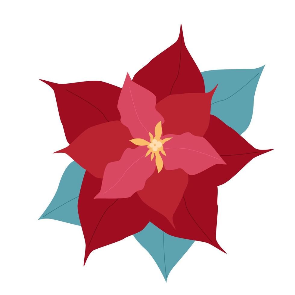 flor de nochebuena roja flor de año nuevo vector