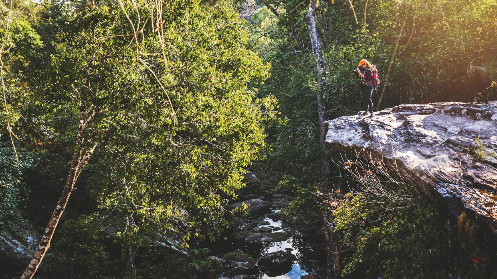 fotografo mujeres asiáticas viajando fotografia naturaleza. viaje relajarse en el paseo de vacaciones en el bosque. viajar relajarse en las vacaciones. tailandia foto