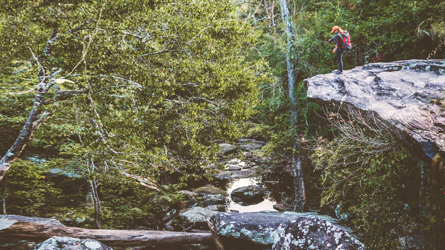 fotografo mujeres asiáticas viajando fotografia naturaleza. viaje relajarse en el paseo de vacaciones en el bosque. viajar relajarse en las vacaciones. tailandia foto