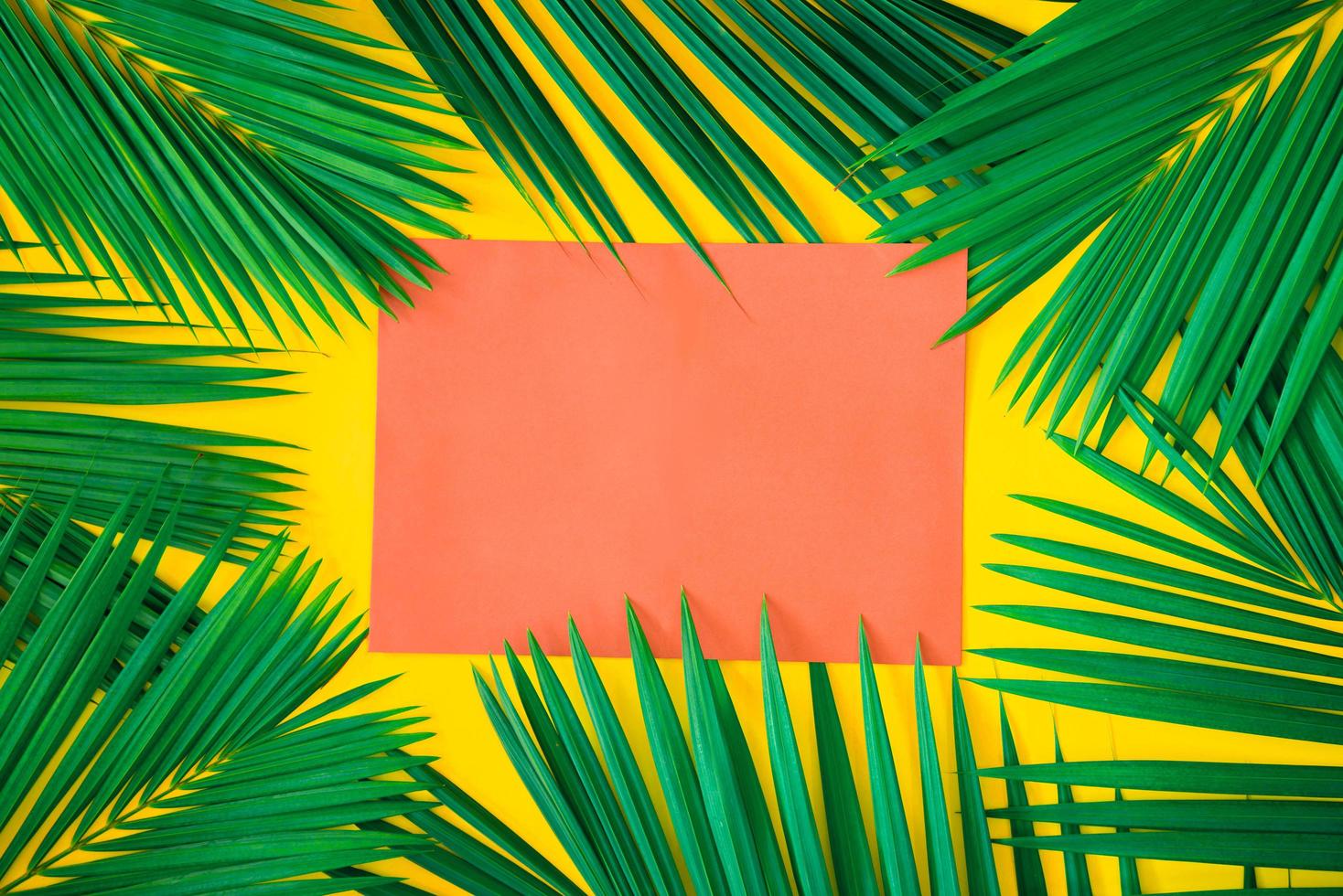 hojas de palmera tropical verde sobre fondo amarillo brillante. diseño de naturaleza creativa hecha hojas. arte conceptual. concepto de verano, fondo de hoja de palmera tropical, espacio para texto. foto