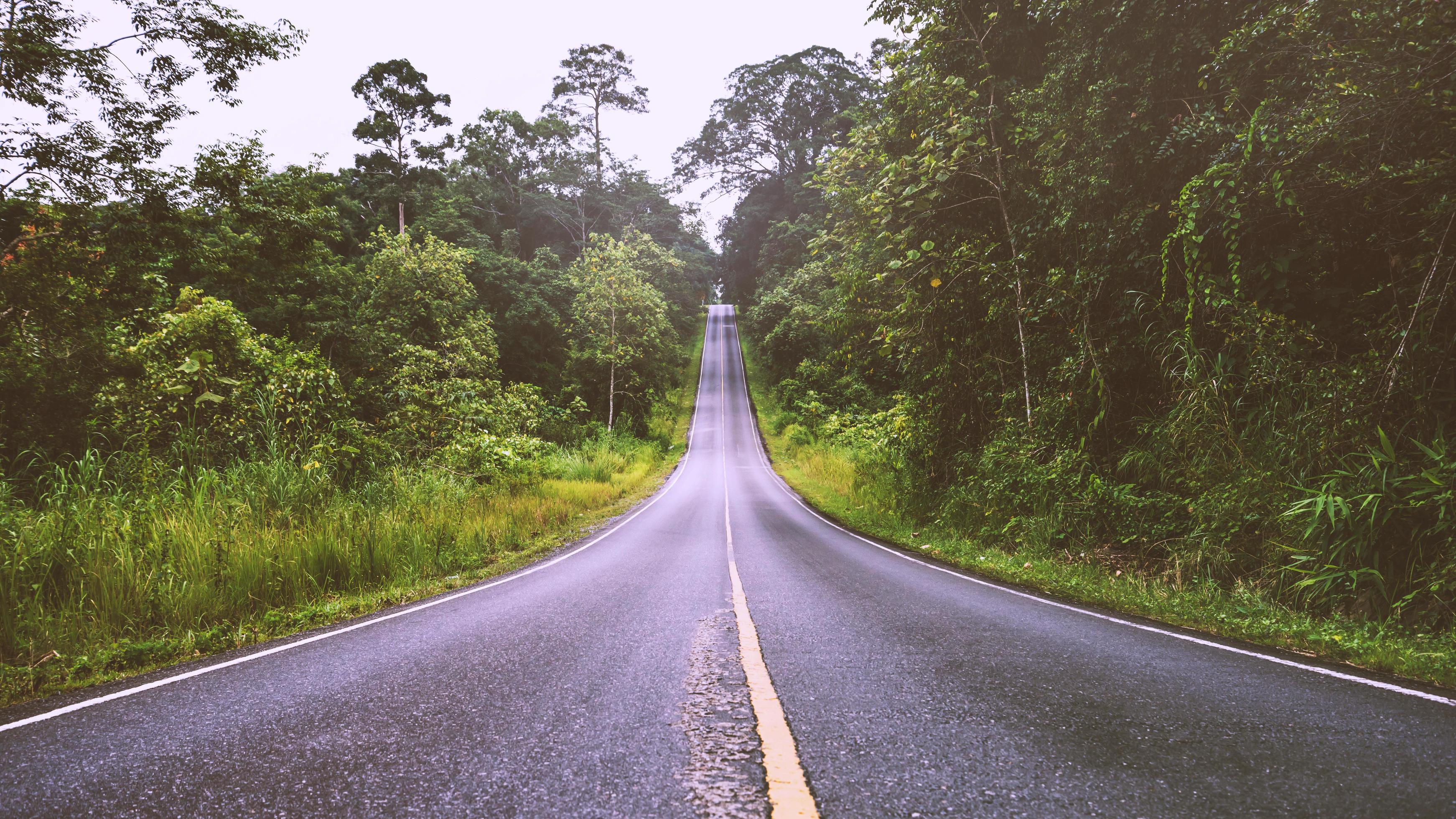 Landscape road paved road Rural Roadside View Mountain View. Road transport  road 4406771 Stock Photo at Vecteezy