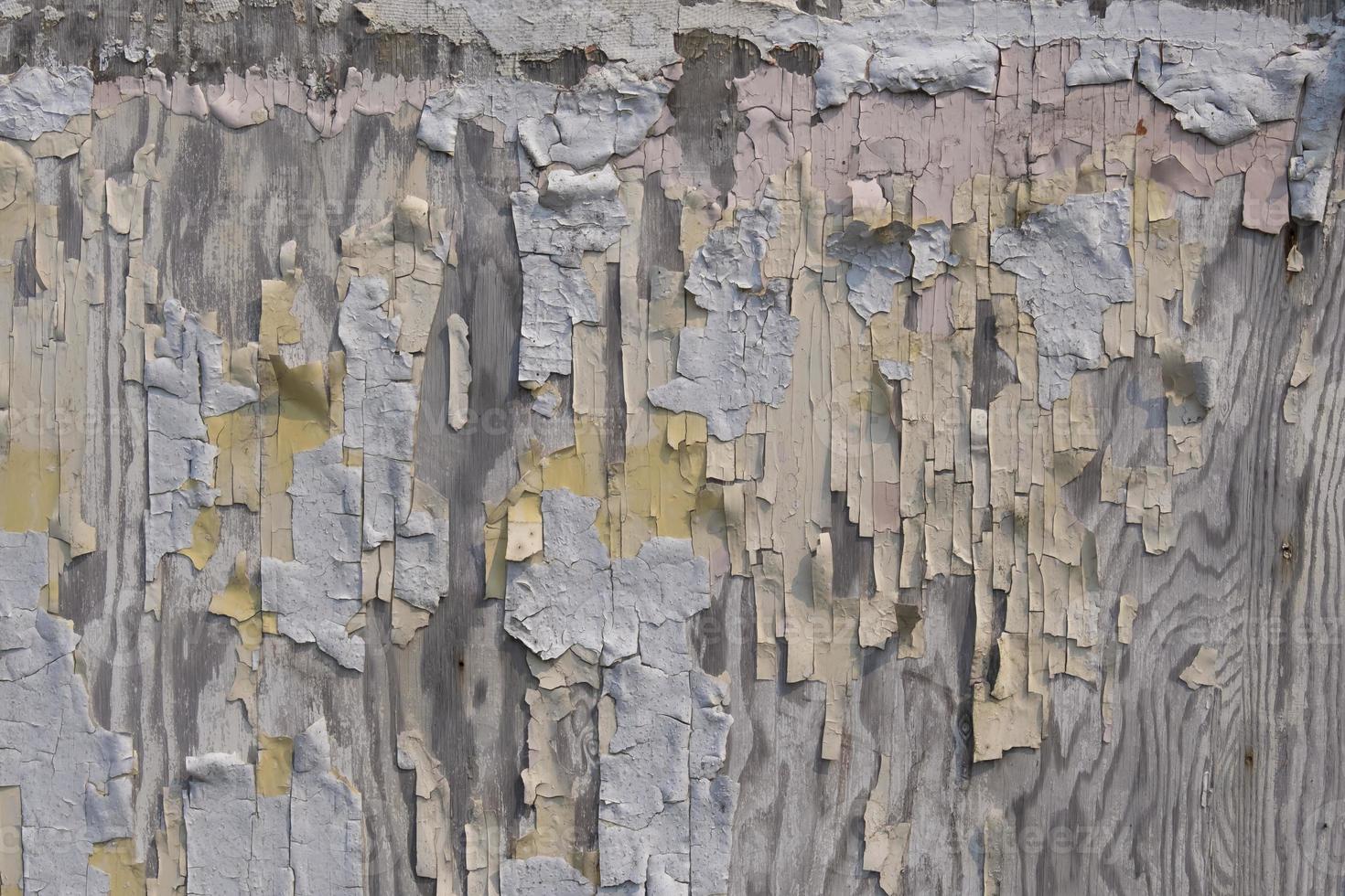 Peeling Paint in the Alaska Town of Pelican photo