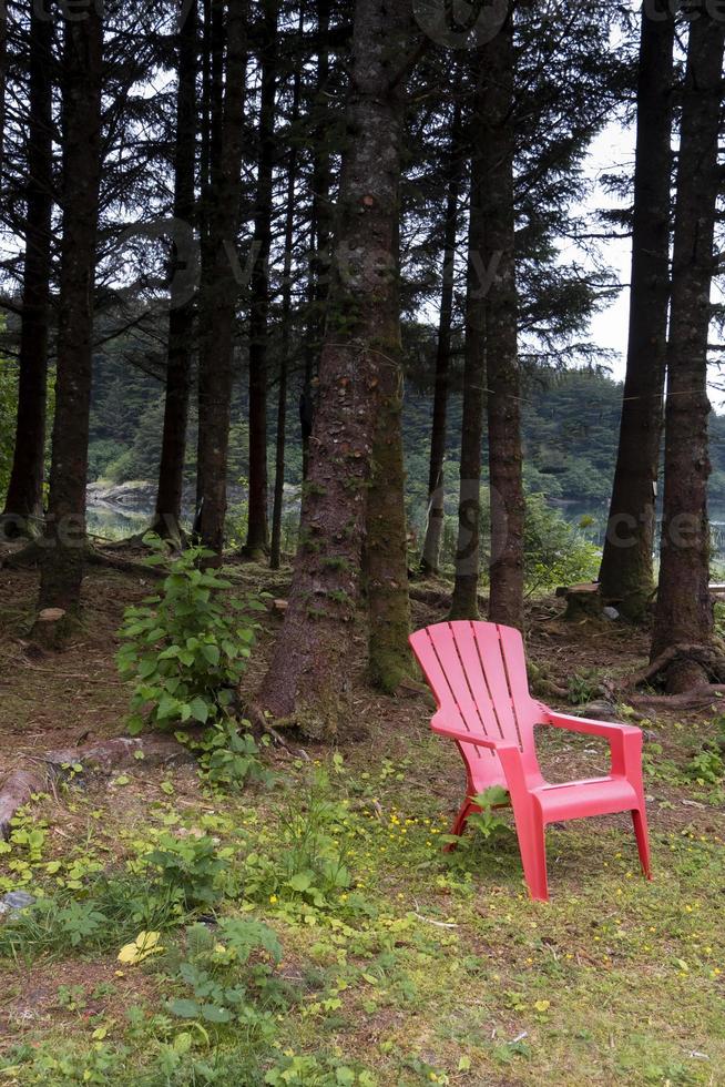 Silla adirondack de color rojo brillante en Woods, Alaska foto