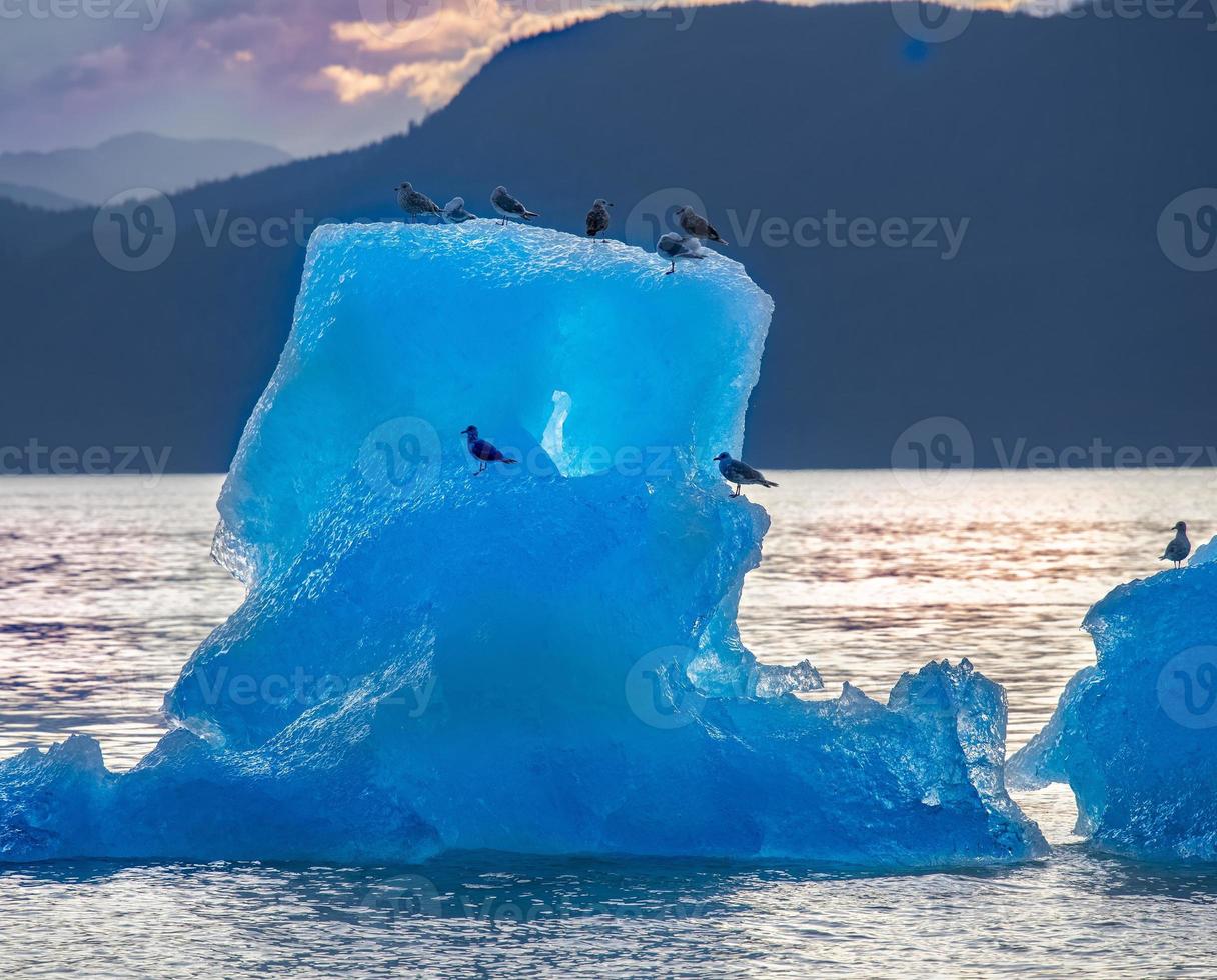 Blue Iceberg, Stephens Passage, Alaska photo