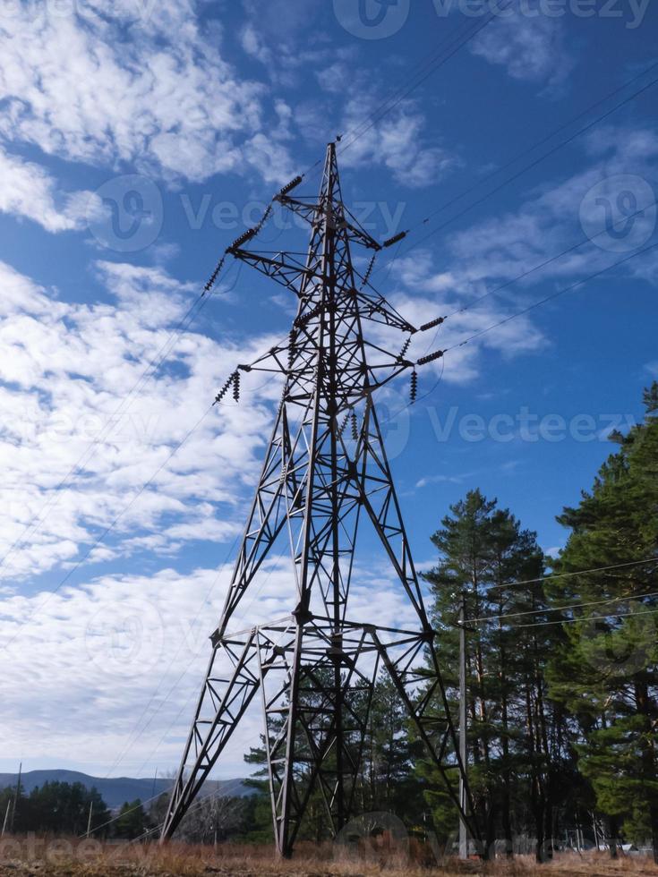 Líneas eléctricas de alta tensión y torre que atraviesa el bosque. foto