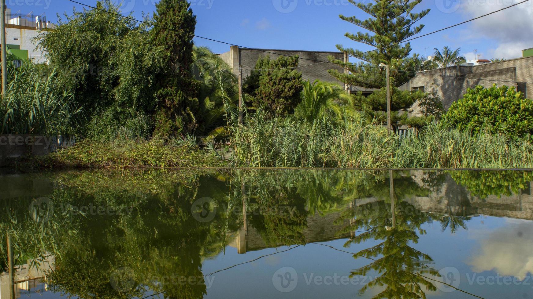 reflejos en el lago gran canaria foto