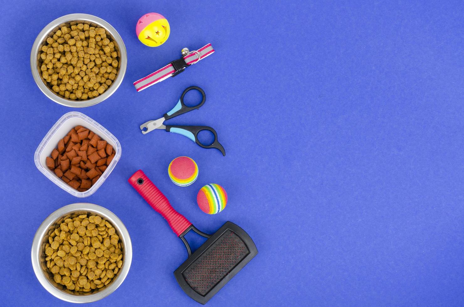 Background of bowls with food, toys and pet care items, top view. Studio Photo