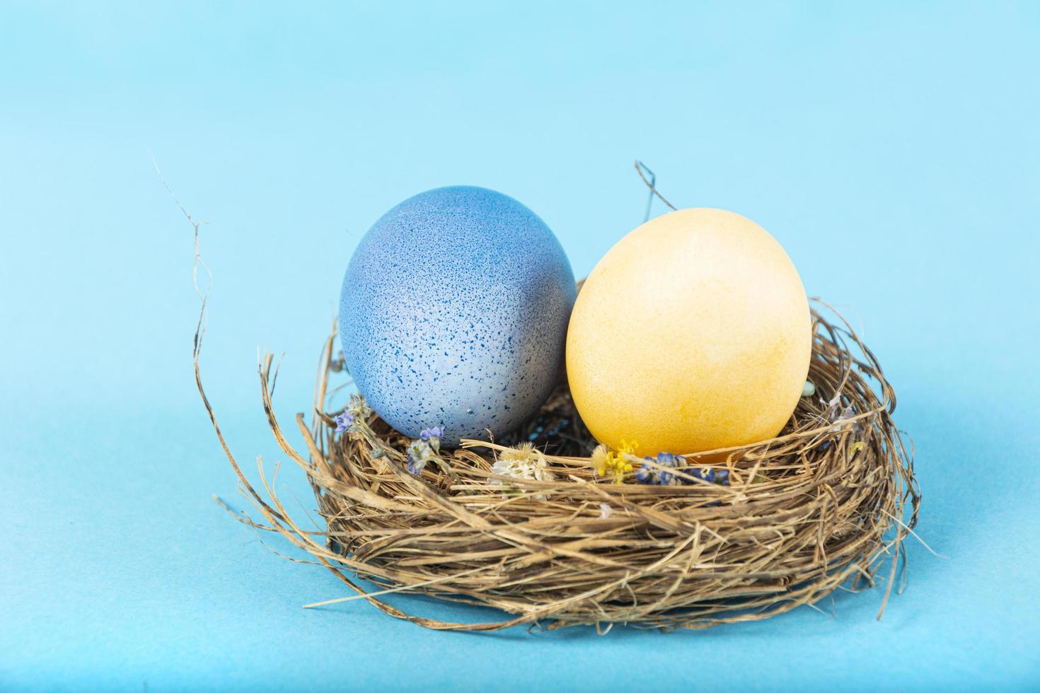 Fondo de colores con huevos de Pascua sobre fondo azul. concepto de feliz pascua. se puede utilizar como cartel, fondo, tarjeta navideña. endecha plana, vista superior, espacio de copia. foto de estudio