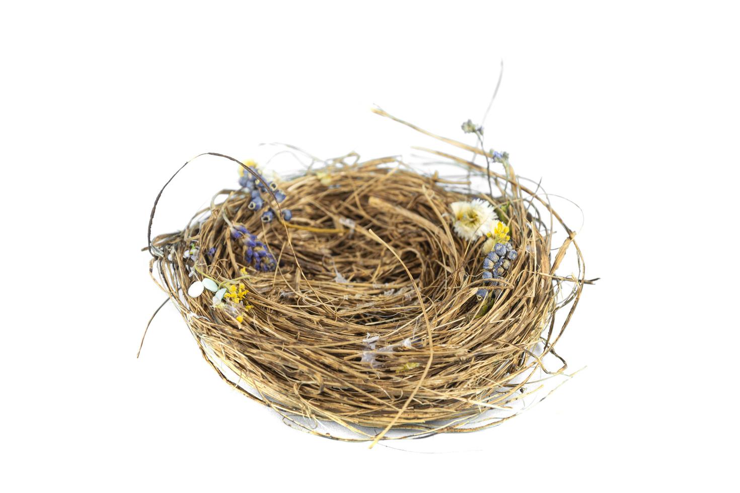 bird Nest on white background. Studio Photo