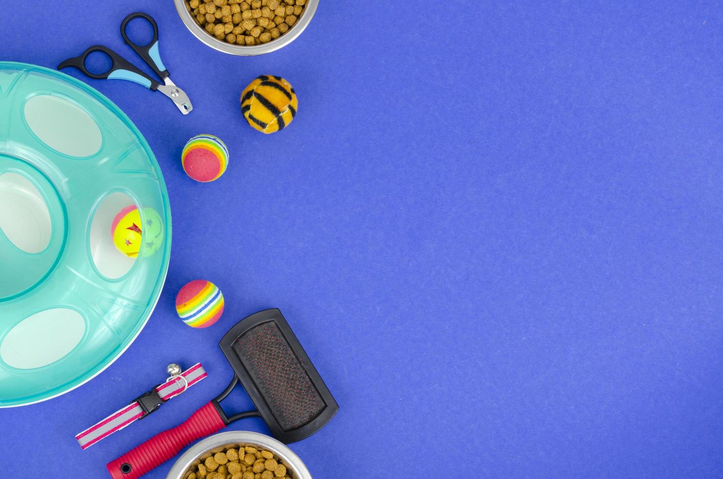 Background of bowls with food, toys and pet care items, top view. Studio Photo