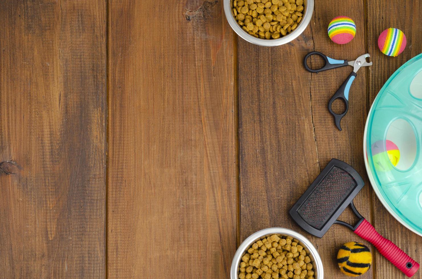 Background of bowls with food, toys and pet care items, top view. Studio Photo