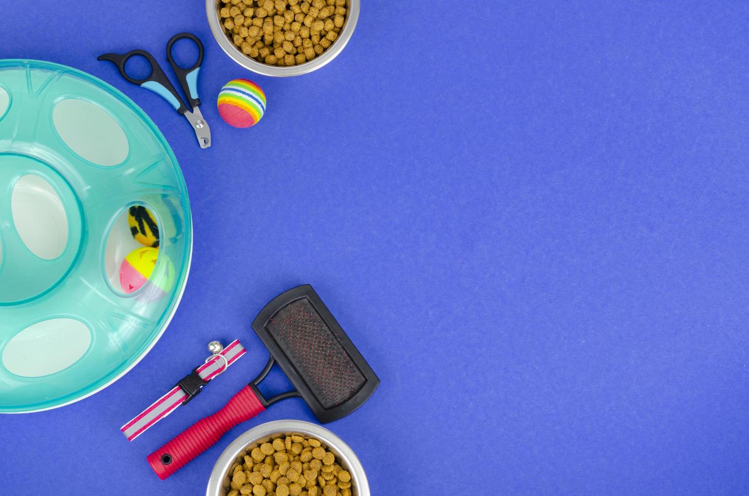Background of bowls with food, toys and pet care items, top view. Studio Photo