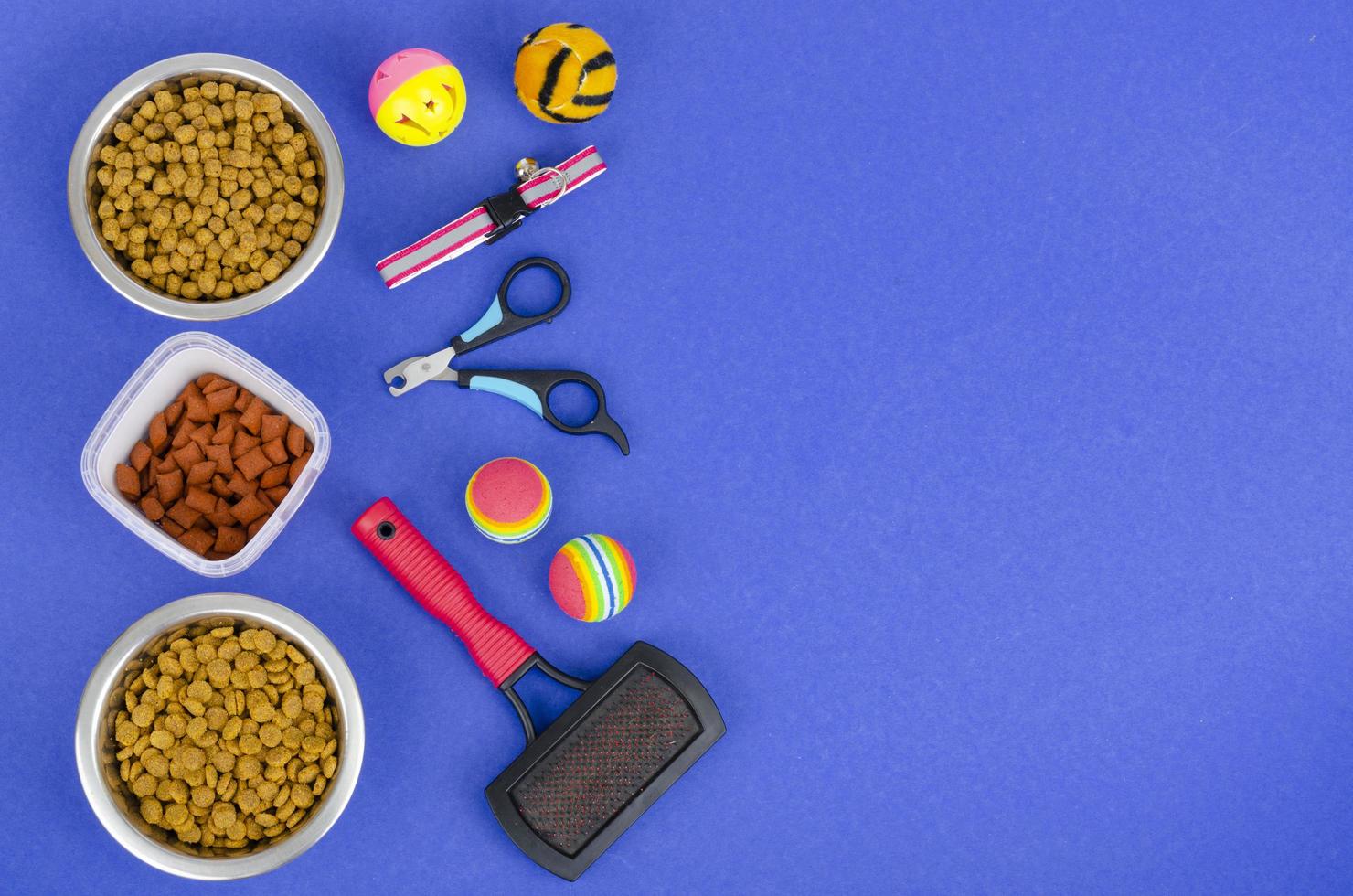 Background of bowls with food, toys and pet care items, top view. Studio Photo