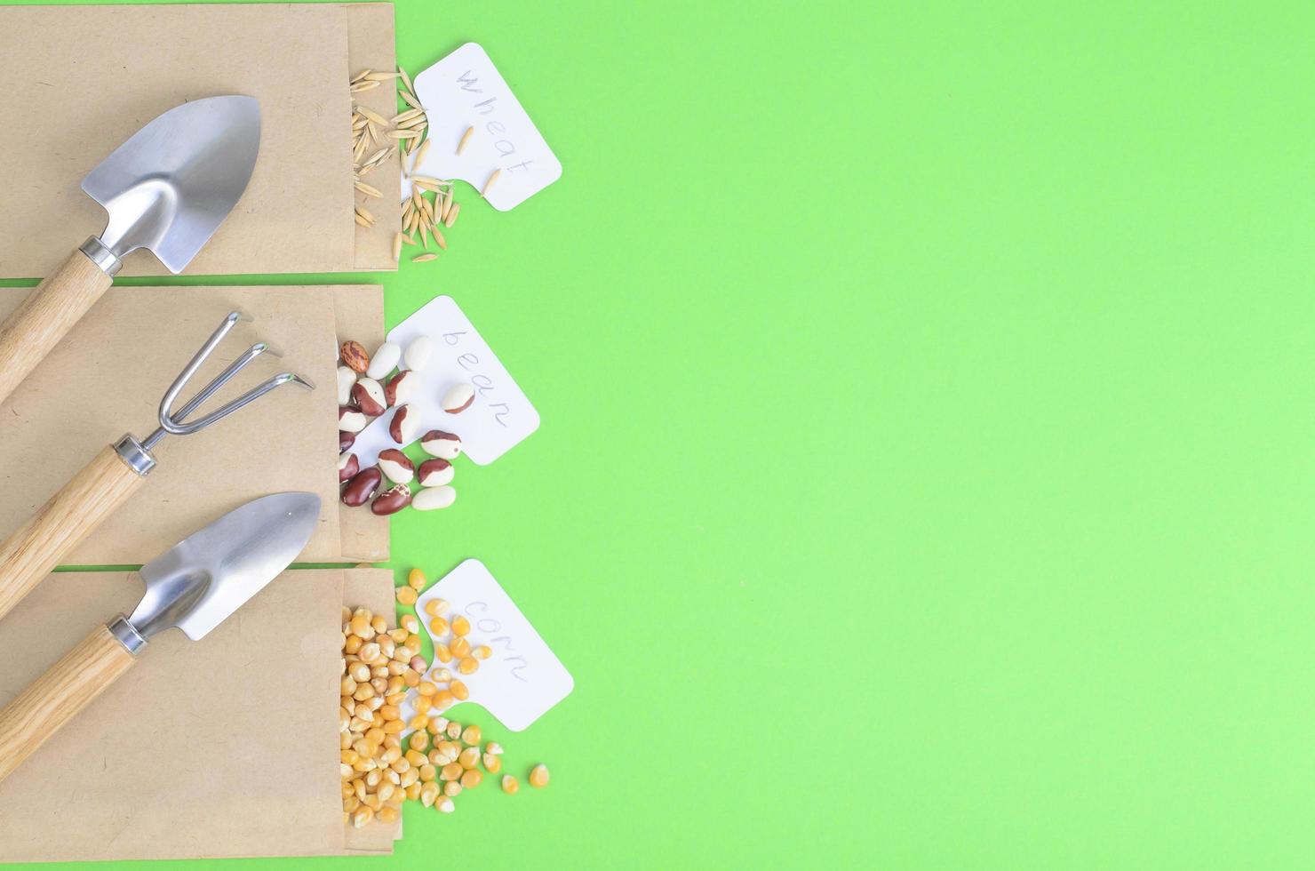 Semillas de hortalizas en bolsas de papel kraft sobre fondo brillante foto