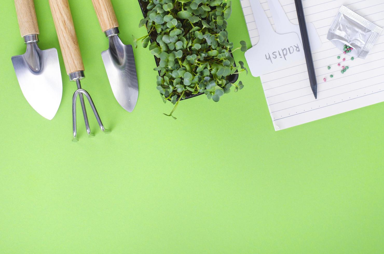 Spring preparation and planning for sowing vegetable. Veggie seeds in craft paper envelopes. Seasonal garden work photo