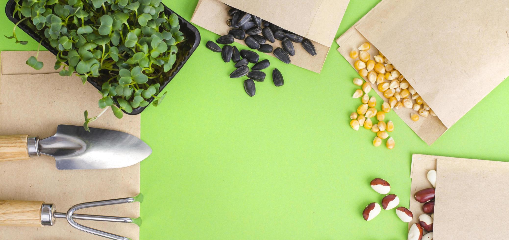 Spring preparation and planning for sowing vegetable. Veggie seeds in craft paper envelopes. Seasonal garden work photo