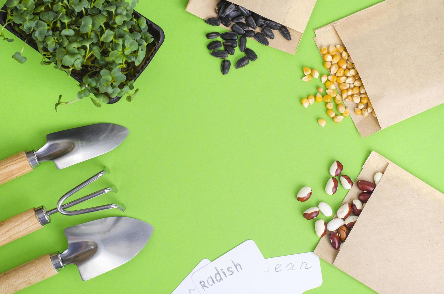 Spring preparation and planning for sowing vegetable. Veggie seeds in craft paper envelopes. Seasonal garden work photo