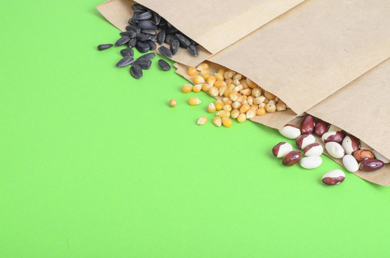 Vegetable seeds in kraft paper bags on bright background photo