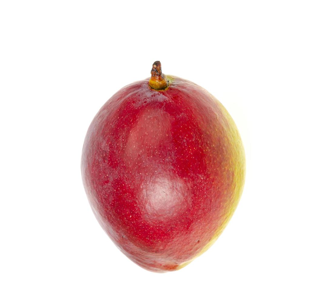 Ripe, juicy, sweet red-green mango. Exotic fruits isolated on white. Studio Photo