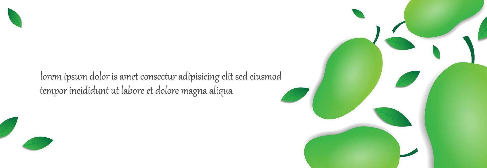 white background template with green mango fruit and green leaves design. promotional design in the form of banners, greeting cards and graphic design purposes. simple and unique modern background vector