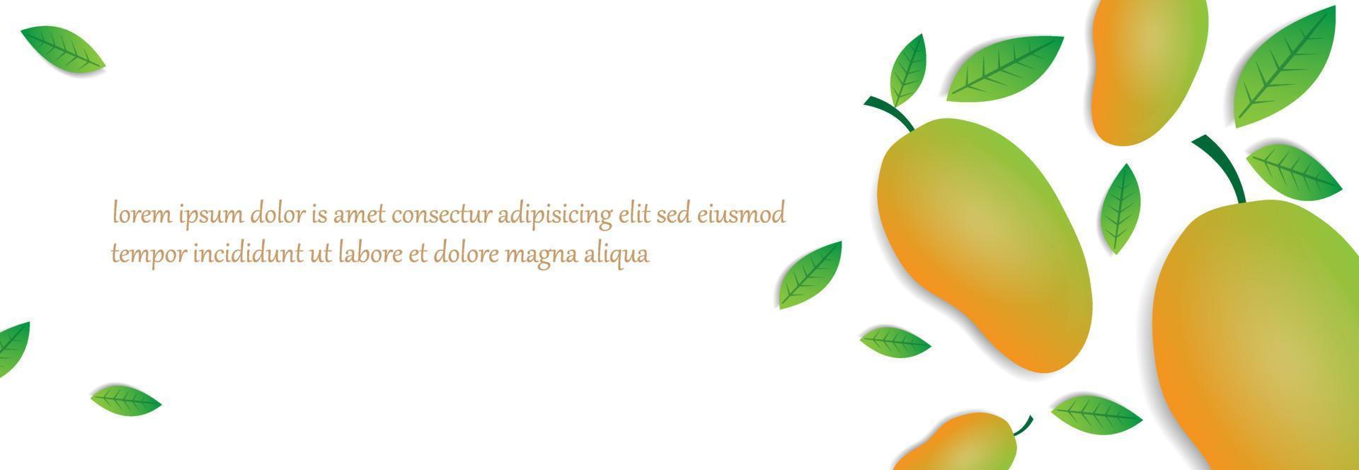white background template with yellow green mango fruit design and green leaves. promotional design in the form of banners, greeting cards and graphic design purposes. vector