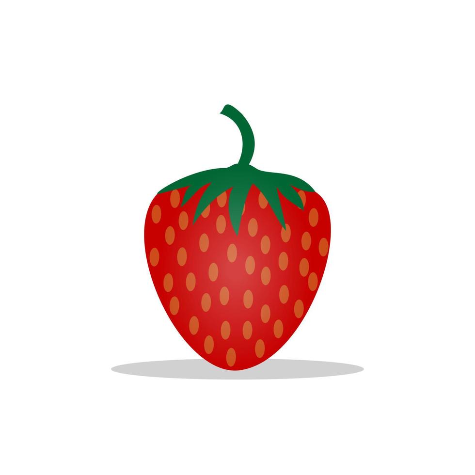 vector illustration of strawberry fruit design. red texture. white isolated. modern fruit design