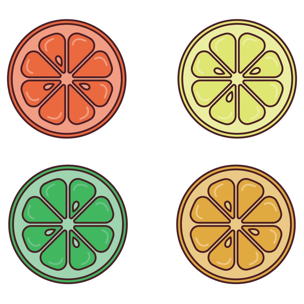 Set of icons with stroke and fill. Citrus halves lemon, lime, orange, grapefruit. Flat vector illustration