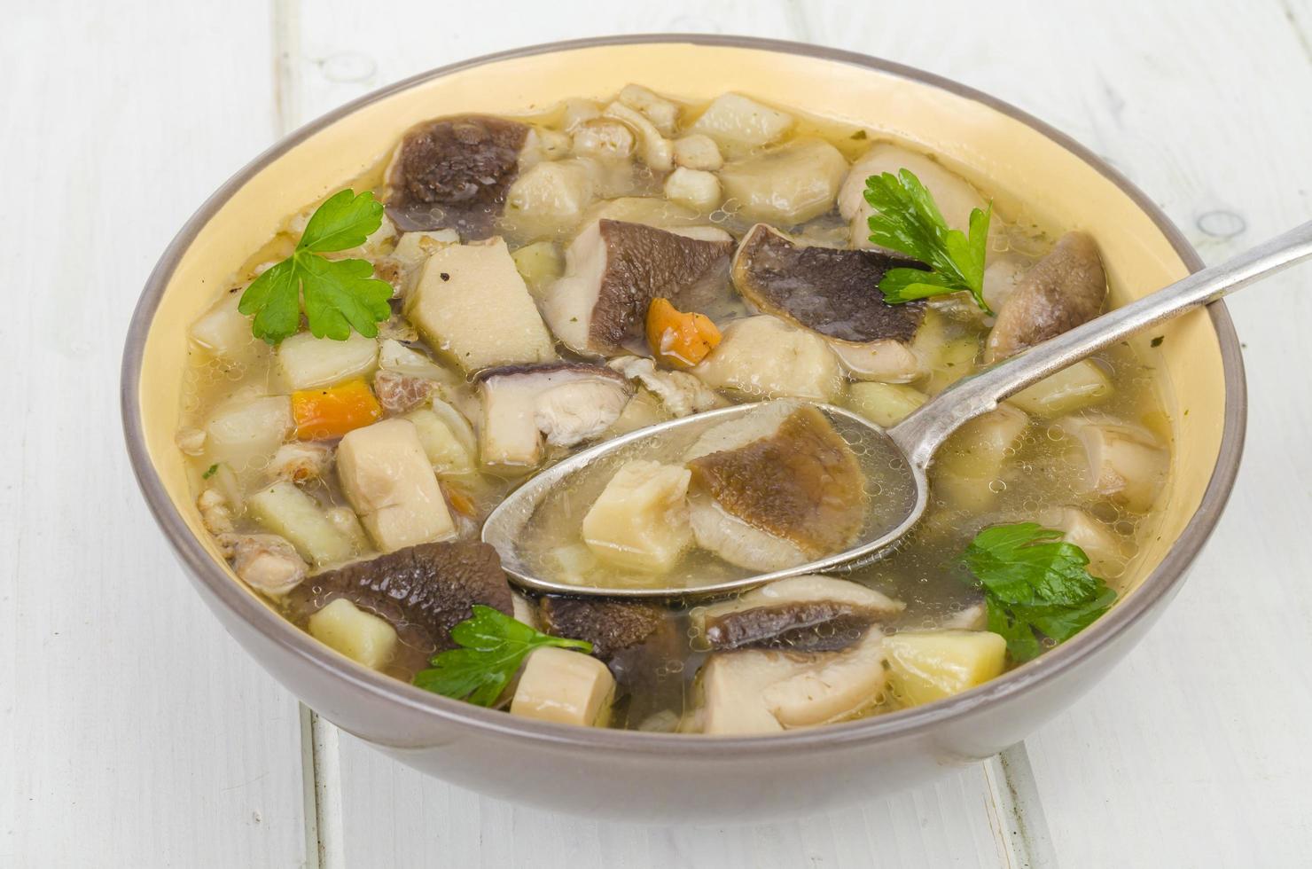 Bowl of forest edible porcini mushroom soup on wooden table photo