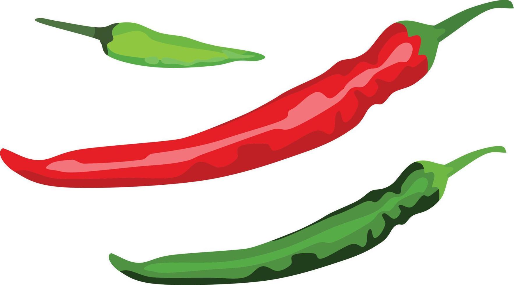 Chili Pepper Vector Illustration